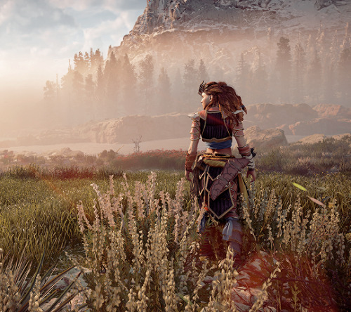 kusa5:HZD: Photomode 160/∞
