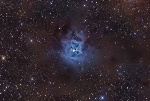just–space:  The Iris Nebula  js 