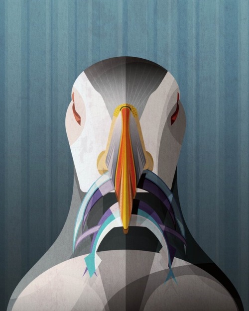 lifeasillustrated:Puffin
