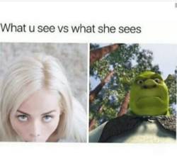 bistox:  Oh daddy shrek