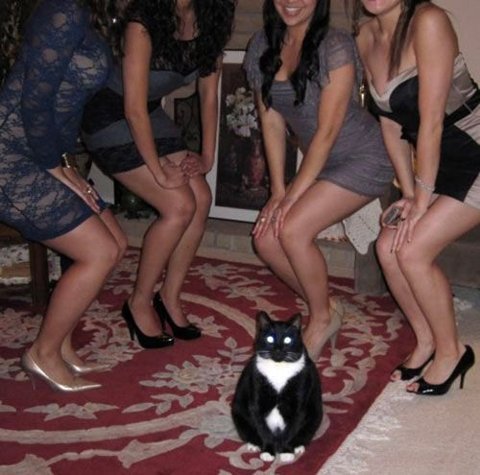 neophyte-redglare: stplatinum:  neophyte-redglare:  neophyte-redglare:  I think i’ve requested this before and idk if anybody replied to it bc i forgot to check on it and ended up losing the post but does anybody have that picture of those girls standing