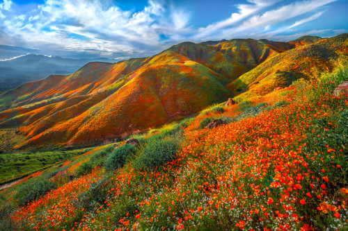 j-k-i-ng:“Walker Canyon“ by | Elliot McGucken