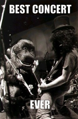 jaidefinichon:  el mejor concierto del mundo slash y barney 