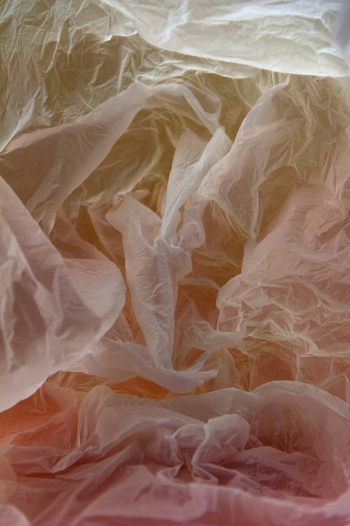 Plastic Bag Landscape - 2013 - Vilde Rolfsen