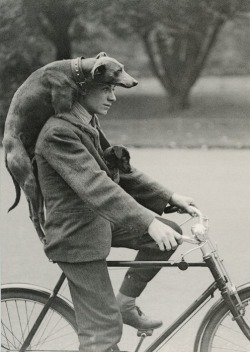 lostsplendor:   Bicycle Built for Three, date unknown (via Buzzfeed)  