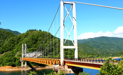 20180616（土）平家岳（へいけだけ、1441.5m）に初めて登ってきた。岐阜県と福井県の県境にある山で、山頂部は福井県大野市。山名の由来は越中・加賀国境の倶利伽羅峠（くりからとうげ）の戦いに敗れ