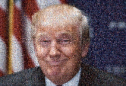 conasabi:  A mosaic of Donald Trump made up of 500 dick pics. 