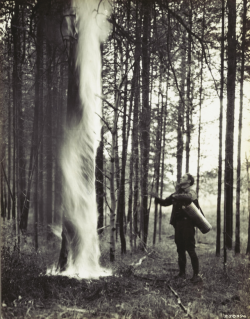 nemfrog:  “Burning standing tree is one