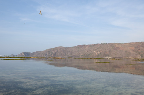 Low tide - Kuta Beach, Lombok  Indonesia