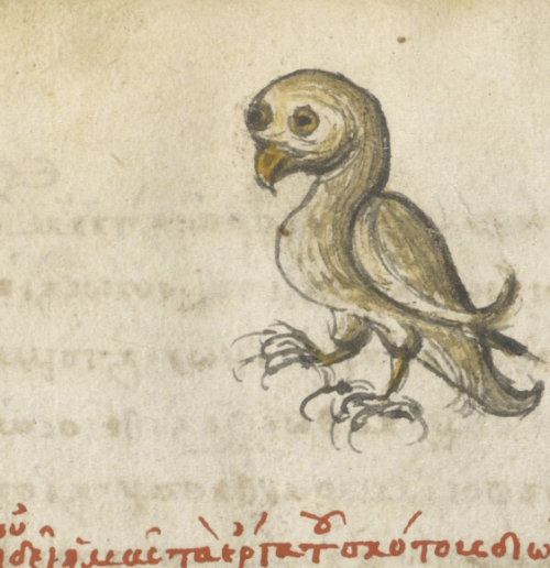 thegetty:Superb OwlsA round up of truly the most superb owls in our collection. Franco-Flemish OwlCr