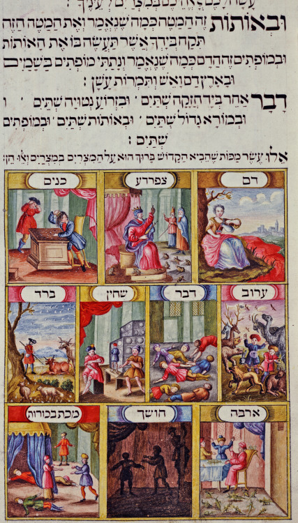 jewishhenna:letmypeopleshow:10 Lavishly Illustrated Medieval Haggadah Pages That Continue to Reveal 