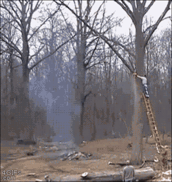 whiskeyontheocean:  4gifs:  Save money and