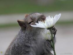 Don’t forget to stop and smell the flowers