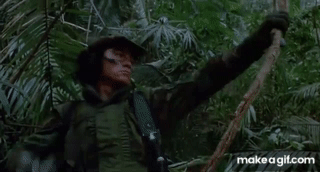 d94ffa6edff3e9f30e6775268b7216b23e6f49bb.gifv