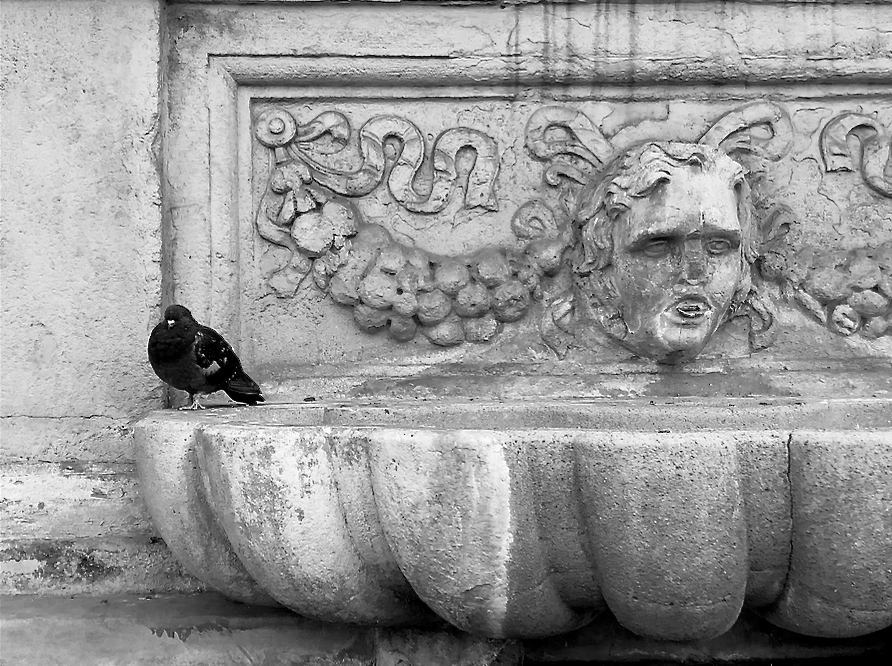 kvetchlandia:Jeff Pott     Rome     2017