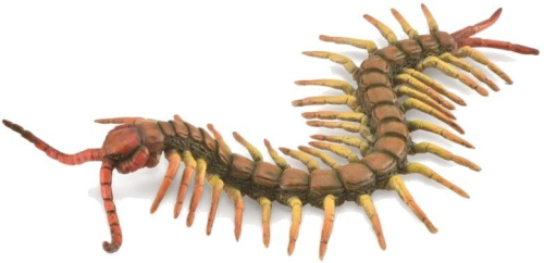 CollectA - Centipede (Happy Hen Toys)