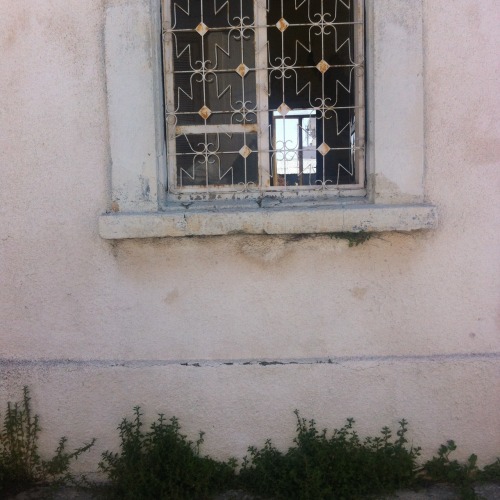 apothecium:Today consisted of exploring abandoned houses.