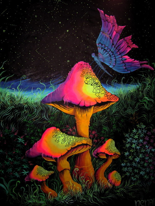 vufus:   "Butterfly on Shrooms" Artist : Nenad Stojkov 