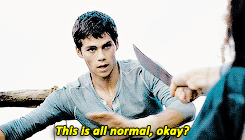 he really liked newt
