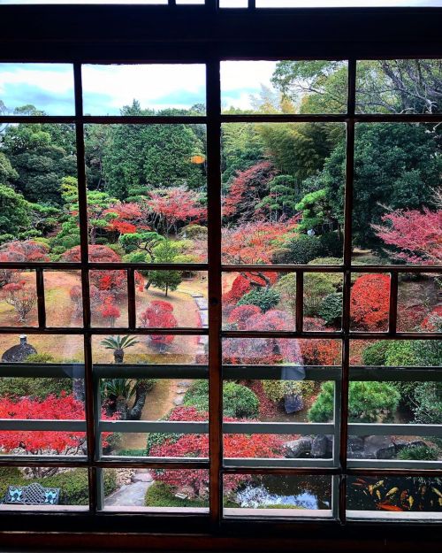 旧松本家住宅 [ 福岡県北九州市 ] Former Matsumoto Family Residence Garden, Kitakyushu, Fukuoka の写真・記事を更新しました。 ーー近代