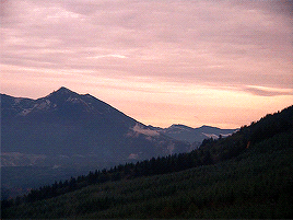 mrsdewinters:Scenery in Twin Peaks S1.