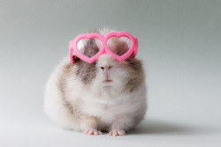 babylove1610:  m—a—r—i—a—n:  awwwwww ….by lieveheersbeestje  