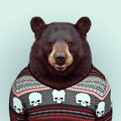 cptterrier:  rhamphotheca:  zooportraits: BEAR by Yago Partal for ZOO PORTRAITS  Love it! 