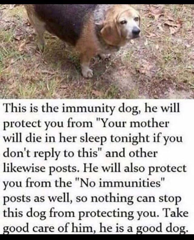 memehumor:We need a spooktober version of this, doot.