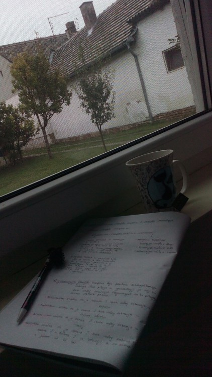studyhardstayhappy: 10.09.2015. Quiet philosophy revision sesh on a rainy day (finally) ^^