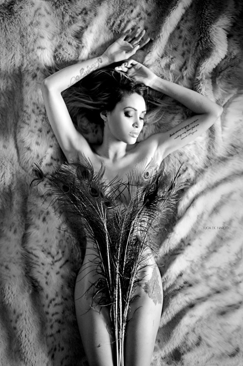 PEACOCK FEATHERS Support my photography on Patreon.com/lucadenardo and discover nude and erotic art