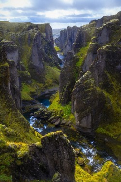 sublim-ature:  Fjaðrárgljúfur, IcelandBryan Swan  oh my god wow and this, a few days after i saw that Svartifoss place with the basalt columns and the waterfall&hellip; ffff. Iceland, why so gorgeous Also, it&rsquo;s hard to get a sense of scale in
