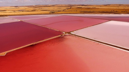 nevver:Drones over Oz, Cameron Puglisi