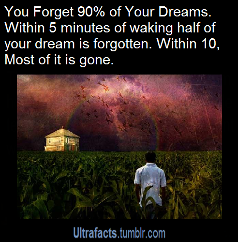 ultrafacts:  For more posts like this, follow Ultrafacts