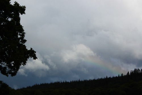 burningmine:Killarney National Park, Ireland