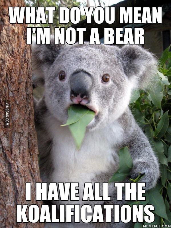 ragecomics4you:  Koalified to be a bear.http://ragecomics4you.tumblr.com