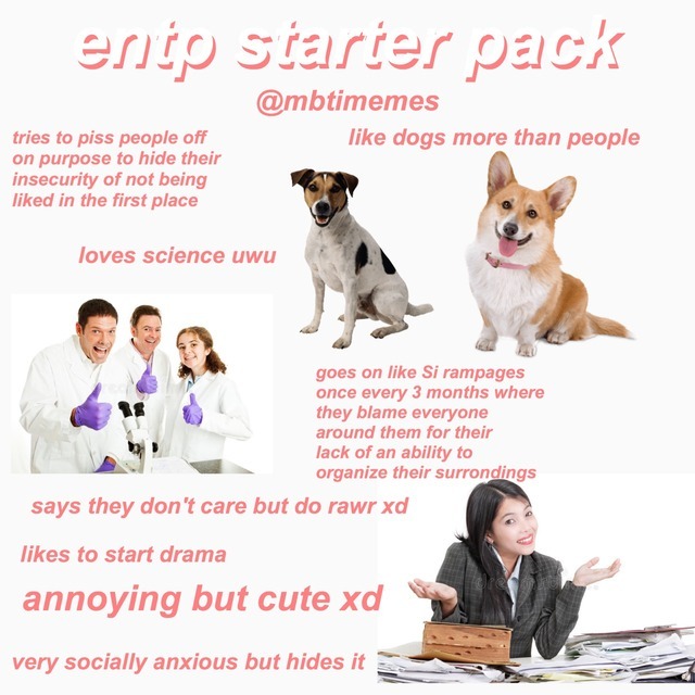 ENFP starter pack : r/mbtimemes