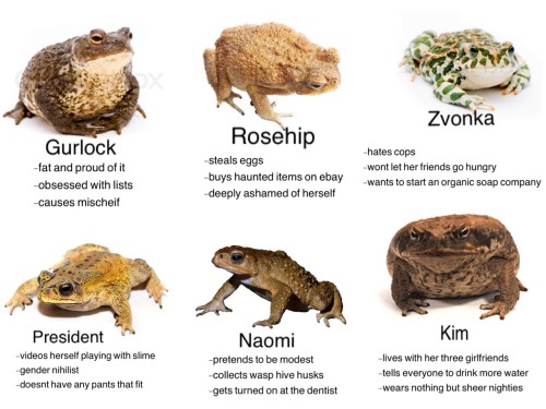 thepuppetmotel: Tag yourself as a toad!