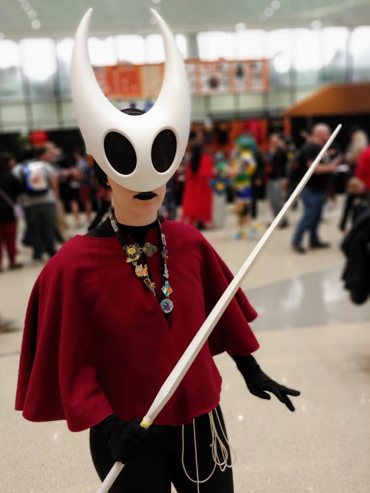 Hollow Knight Cosplay