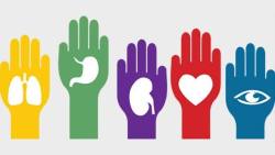   El 14 de octubre de cada año se conmemora el Día Mundial de la Donación de Órganos, Tejidos y Trasplantes. Esta fecha fue instaurada por la Organización Mundial de la Salud (OMS), con el propósito de incentivar en todas las personas del mundo
