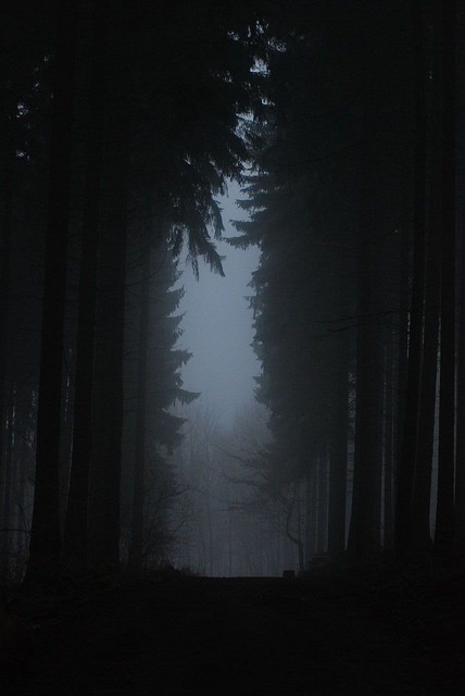 alphonsewrites:silvaris:On A Dark Trail by Alexander Bodendo not fear anythingmy SweetI shall always