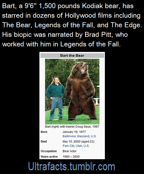 ultrafacts:Robert Redford, Morgan Freeman, John Candy, Dan Aykroyd, Daryl Hannah, Annette Bening, Ethan Hawke, Steven Seagal, Tchéky Karyo, Brad Pitt, Alec Baldwin, and Anthony Hopkins all appeared in films opposite the bear, the latter even twice. All