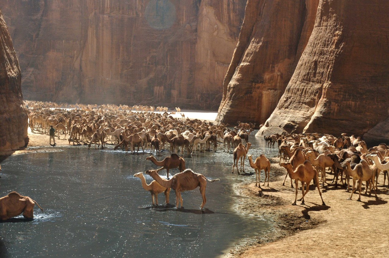 Guelta Archei, Sahara Desert, Chad.