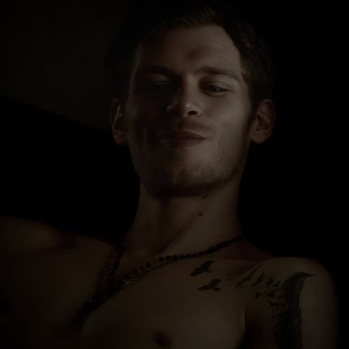I Want To See Fanfics Of Klaus Mikaelson With Wolf Anatomy I Would Sell My Soul To See A Fanfic Like