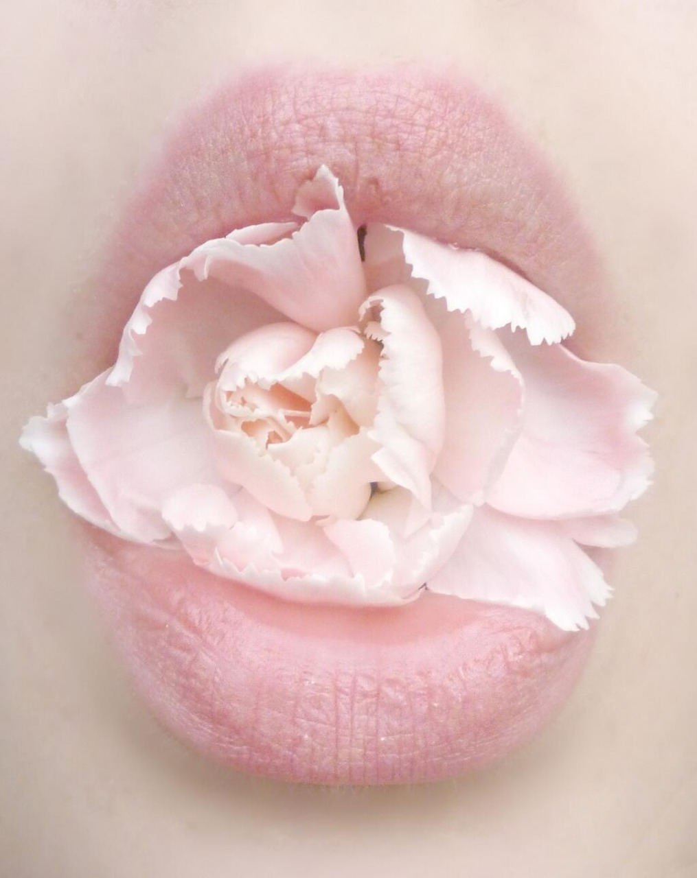 starlet-seraph:note: flowers taste bad