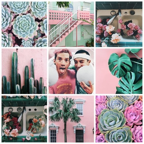 twenty one pilots x green and pink moodboard