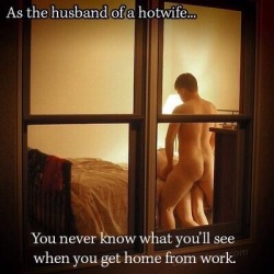 obsequious-cuckold:  As the husband of a