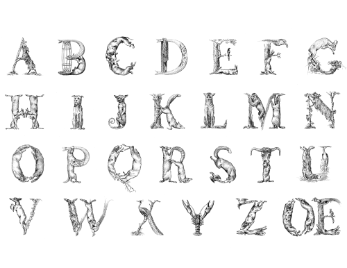 design-is-fine:Joseph Balthazar Silvestre, animal alphabet, 19th century.