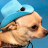 its-demons-jim:  when your post gets over 100 notes: