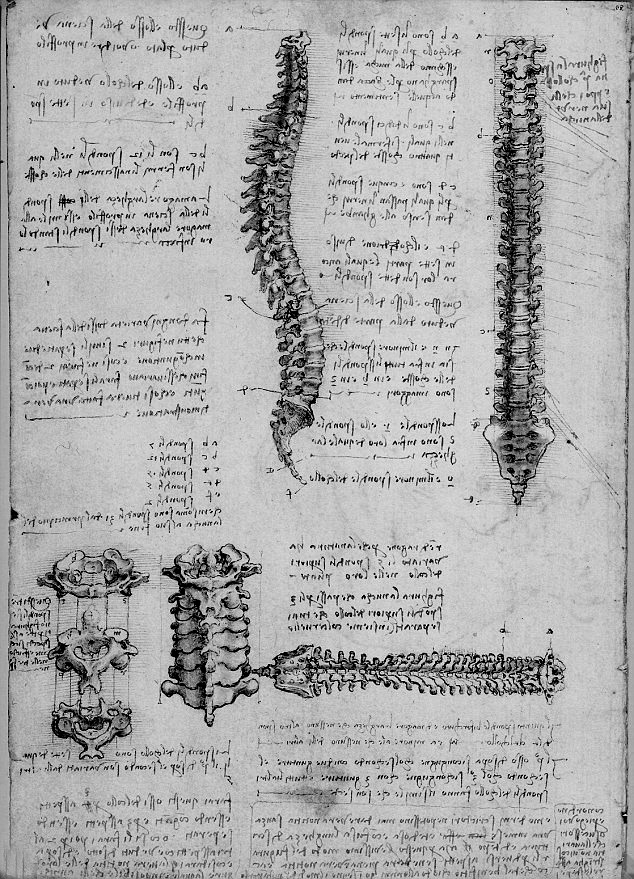 chaosophia218:Anatomical studies and drawings by Leonardo da Vinci.  #Machinery