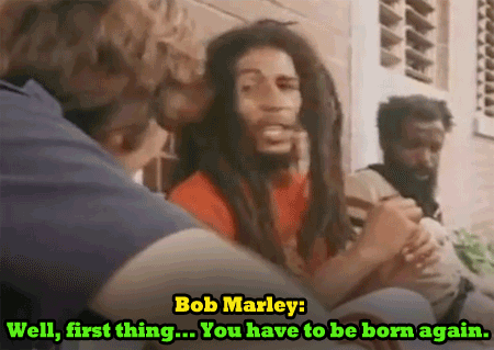 the-goddamazon:  rastaqueen3000ad:  blasianxbri:  18-15n-77-30w:  ikaythegod:  Lol…